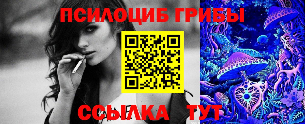 Галлюциногенные грибы Cubensis  Вход с VPN  Лесосибирск  Псилоцибиновые грибы MAGIC MUSHROOMS 
