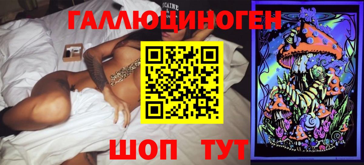 Псилоцибиновые грибы Psilocybe Лесосибирск