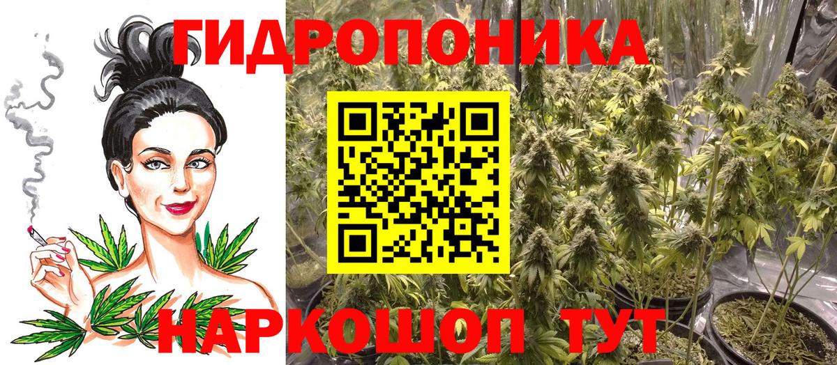 Бошки Шишки AK-47  Бошки Шишки конопля  Вход с VPN  Лесосибирск  Конопля THC 21% 